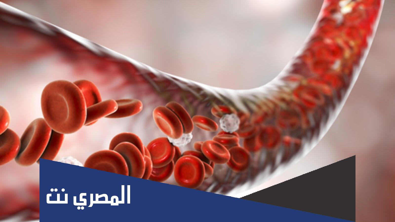 كم تبلغ كمية الدم التي تمر في الكليتين كل دقيقة