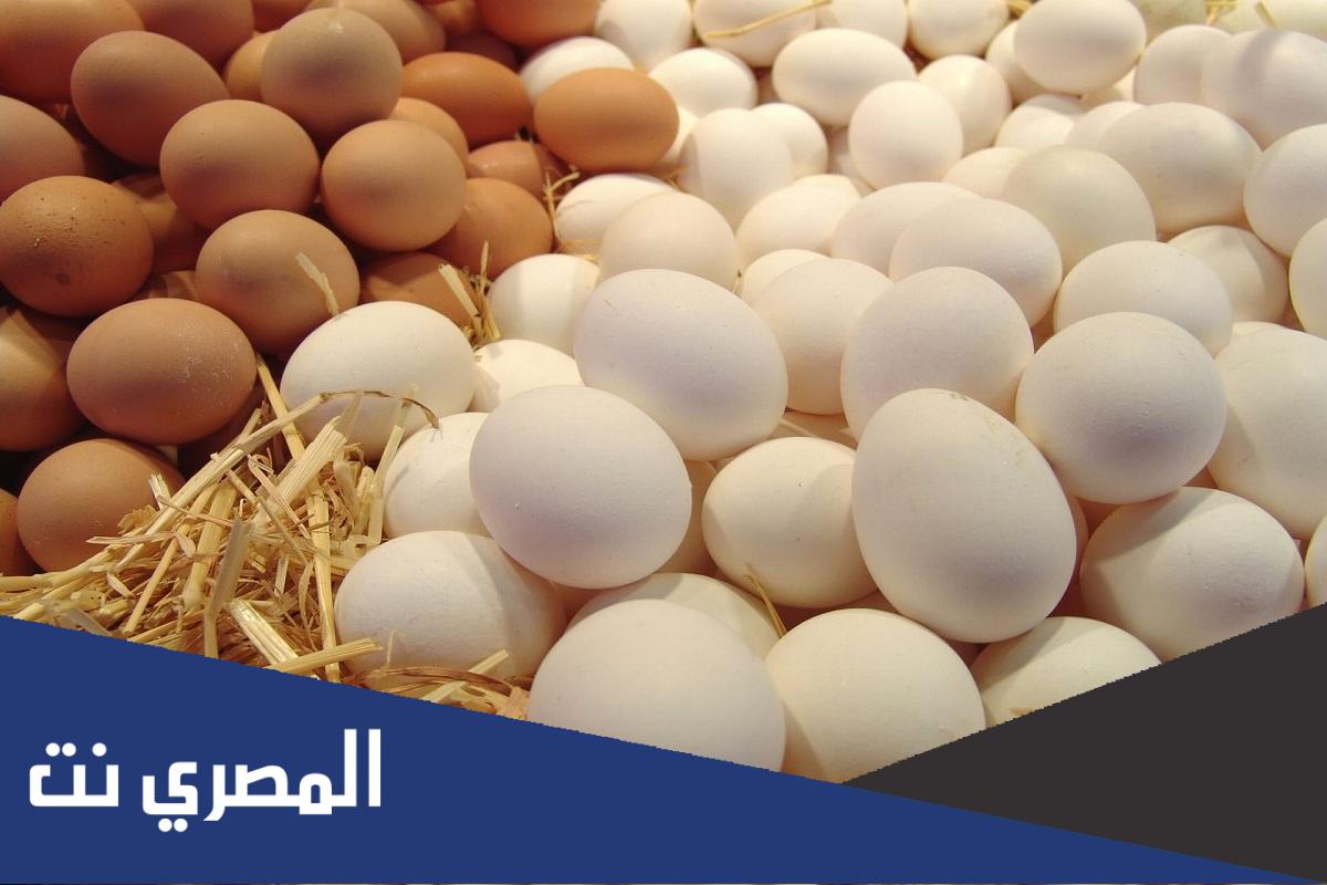 كم سعر البيض الاورجانيك بمصر