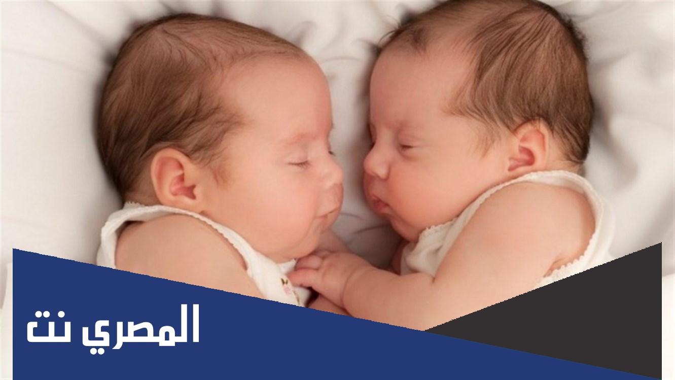 كم لازم يكون حجم البويضة للحمل بتوأم