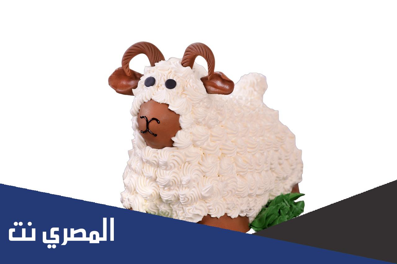 كيكة خروف العيد سنابل السلام ، طريقة الحجز والطلب 2022 -