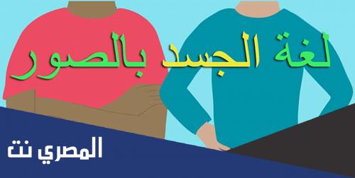 معلومات عن علم النفس ولغة الجسد