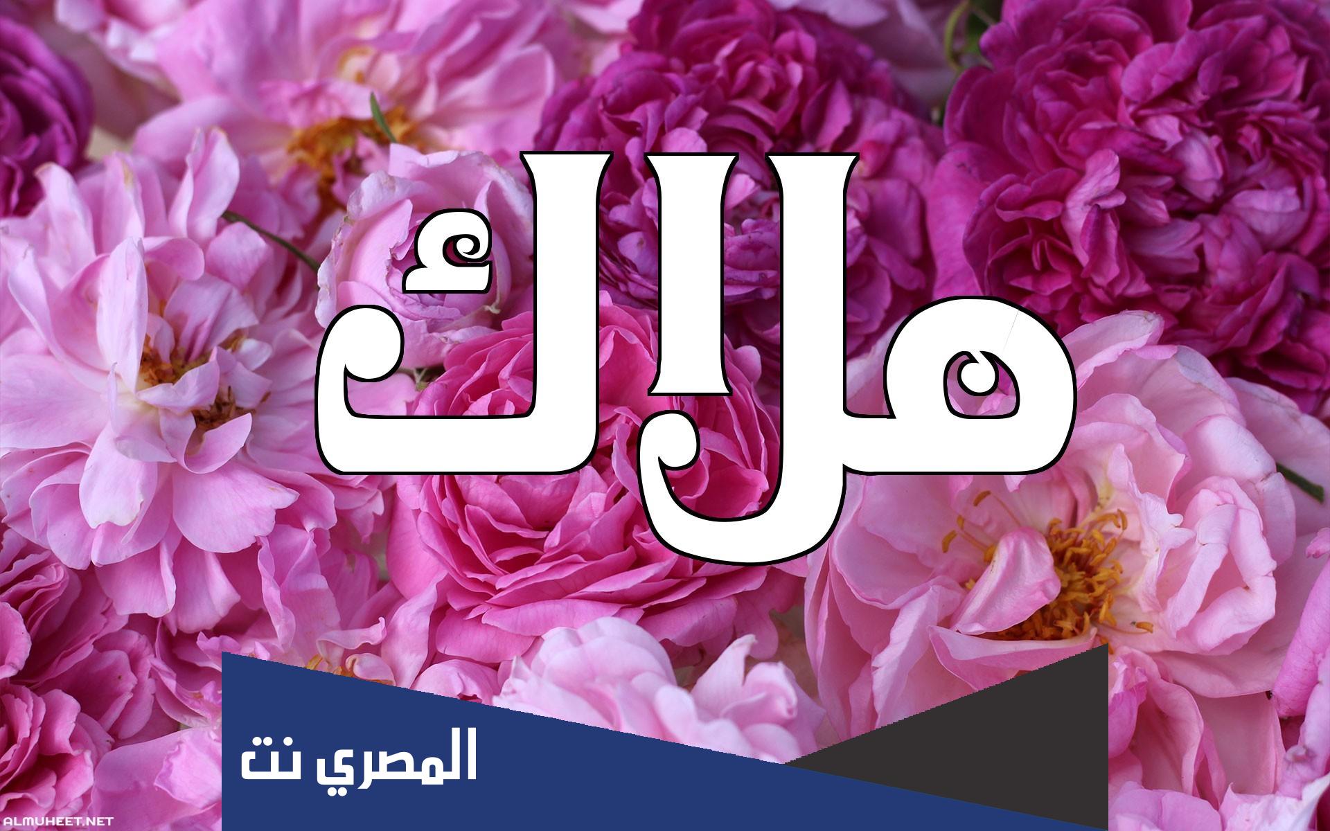 لماذا اسم ملاك حرام ؟