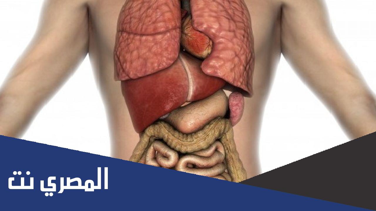 لماذا سمي باللب الابيض واللب الاحمر