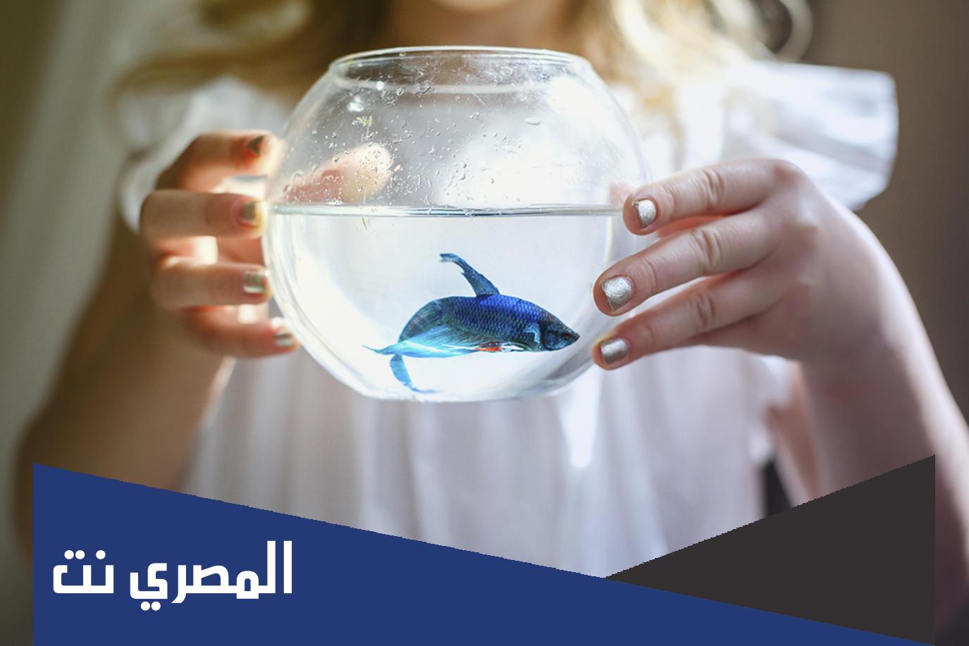 لماذا يعيش السمك في الماء