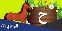 كلمات بحرف الحاء “ح”