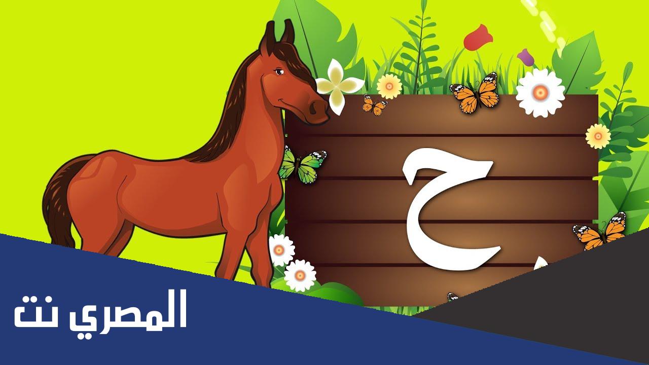 كلمات بحرف الحاء "ح"
