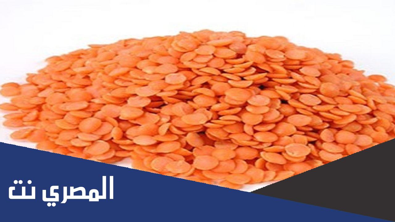 ما فوائد العدس المجروش