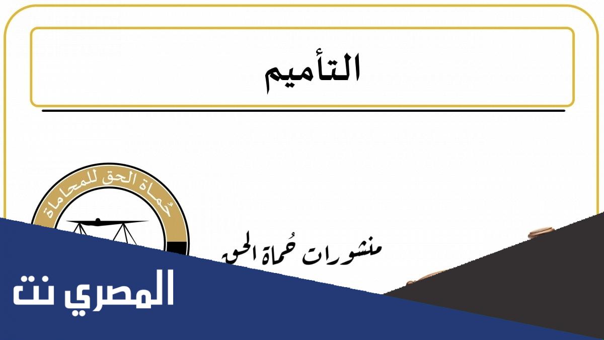 ما معنى تأميم الشركات