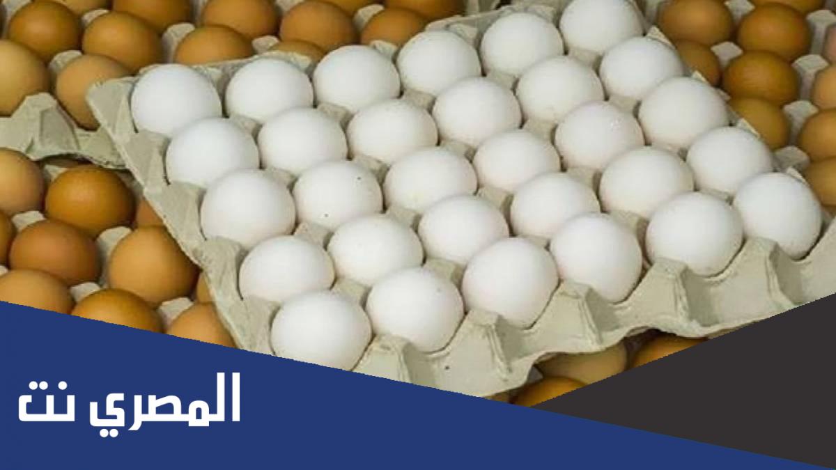 ما هو الفرق بين البيض الأورجانيك والعادي ؟