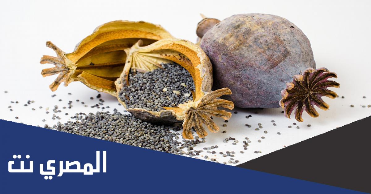 ما هي استخدامات بذور الخشخاش
