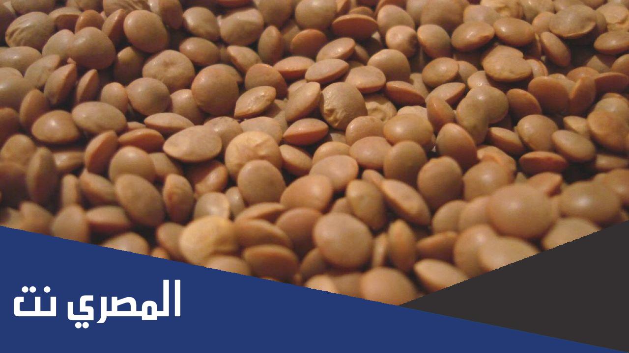 ما هي فوائد العدس البني