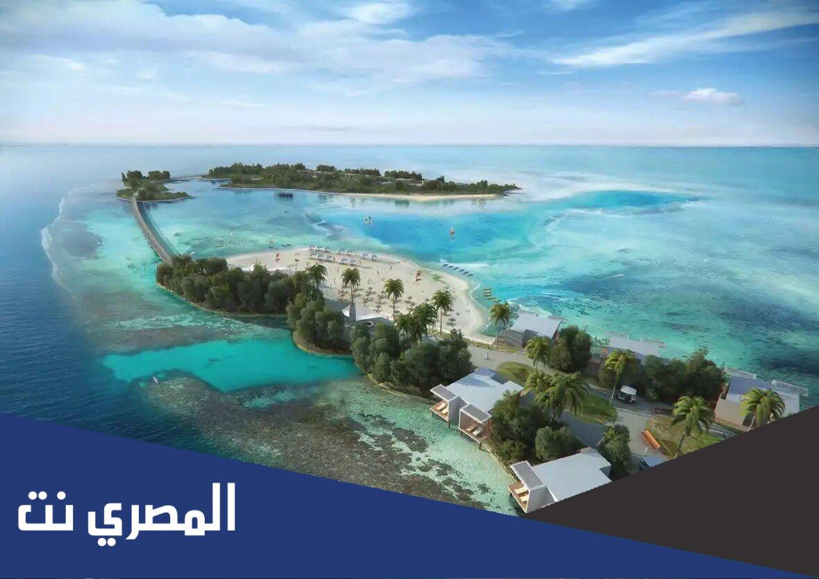 تقرير عن مشروع البحر الاحمر