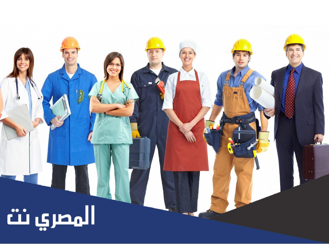مطويه عن المهن 2022 مطوية عن أصحاب المهن