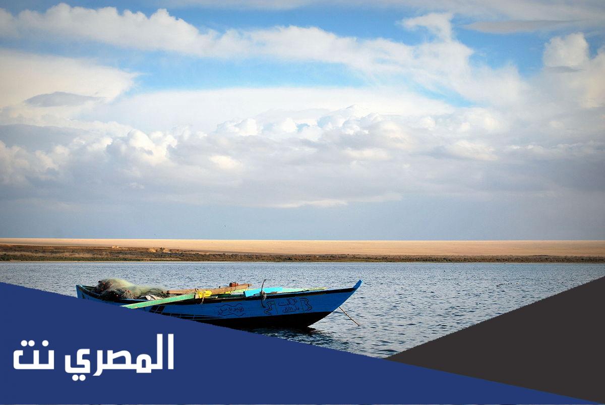 معلومات عن وادي الريان بالانجليزي