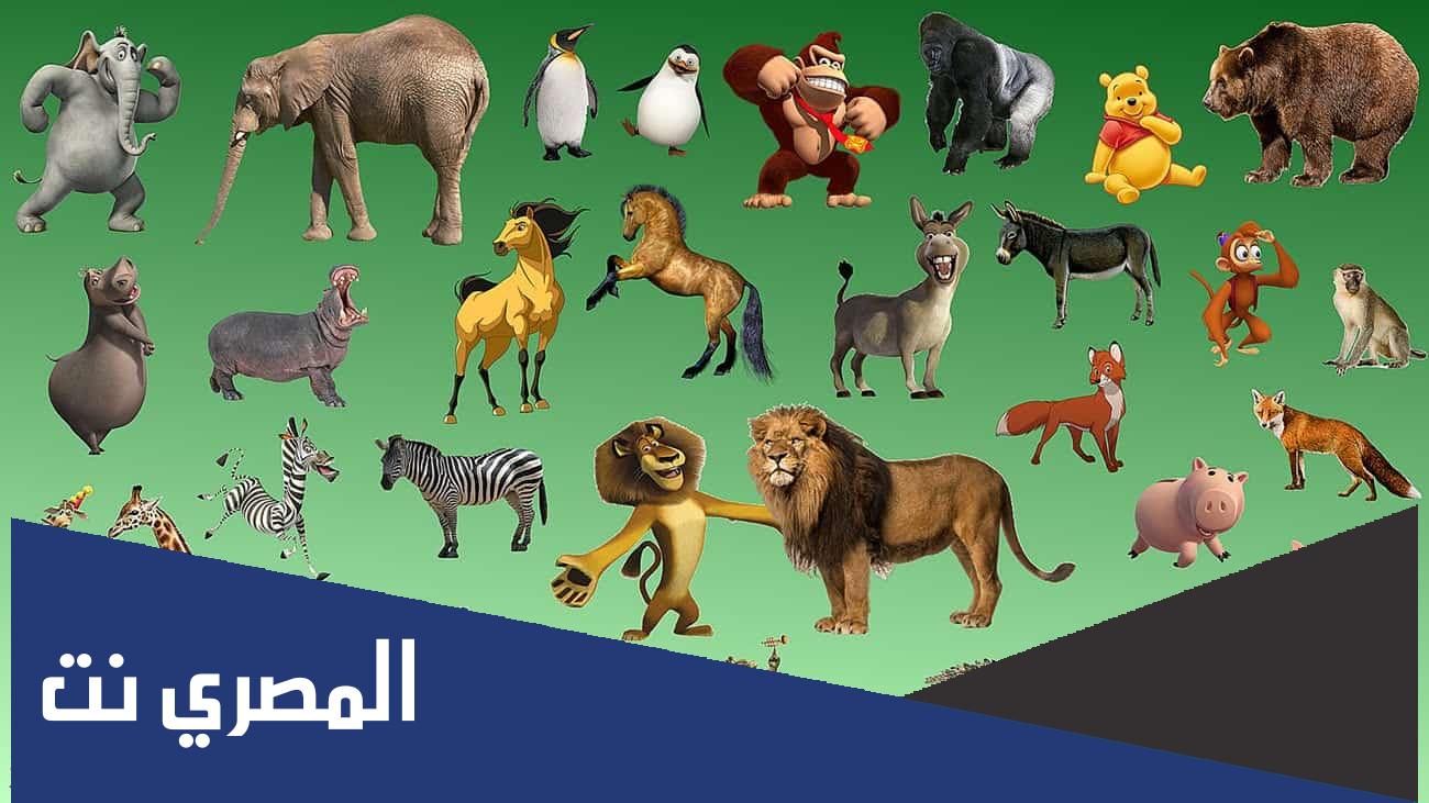 معلومات غريبة عن الحيوانات مع الصور