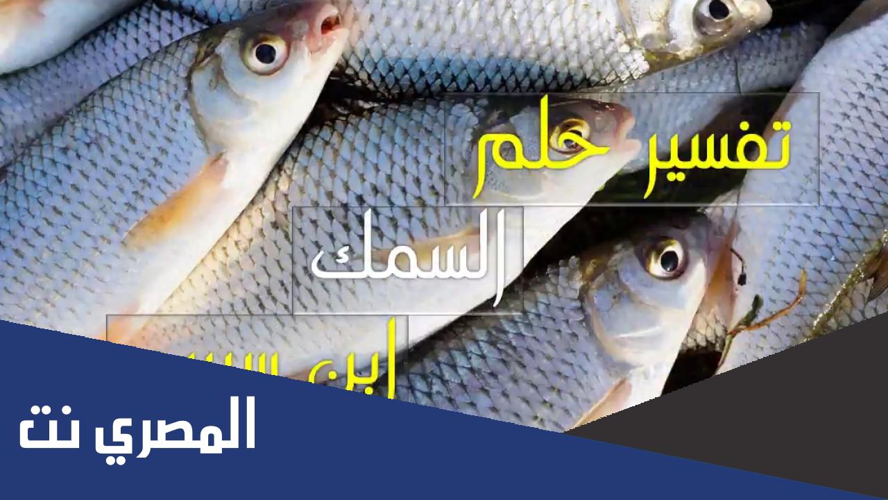 معنى السمك النيء في المنام كامل لابن سيرين