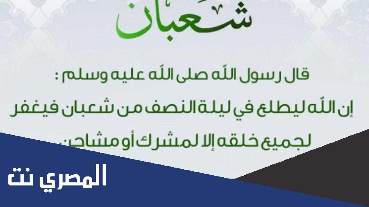من هو المشاحن الذي لا يغفر له