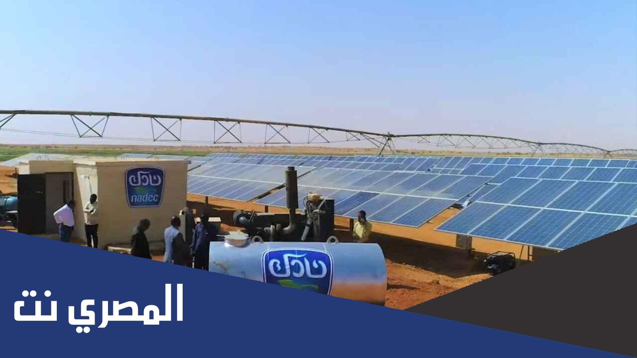 من هو صاحب شركة نادك