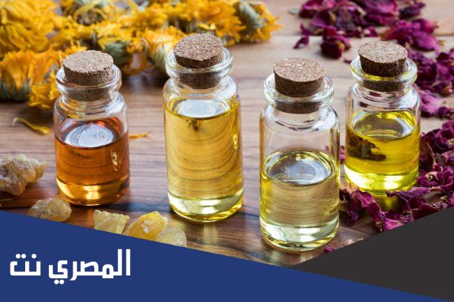 من هو فيصل الدايل ويكيبيديا