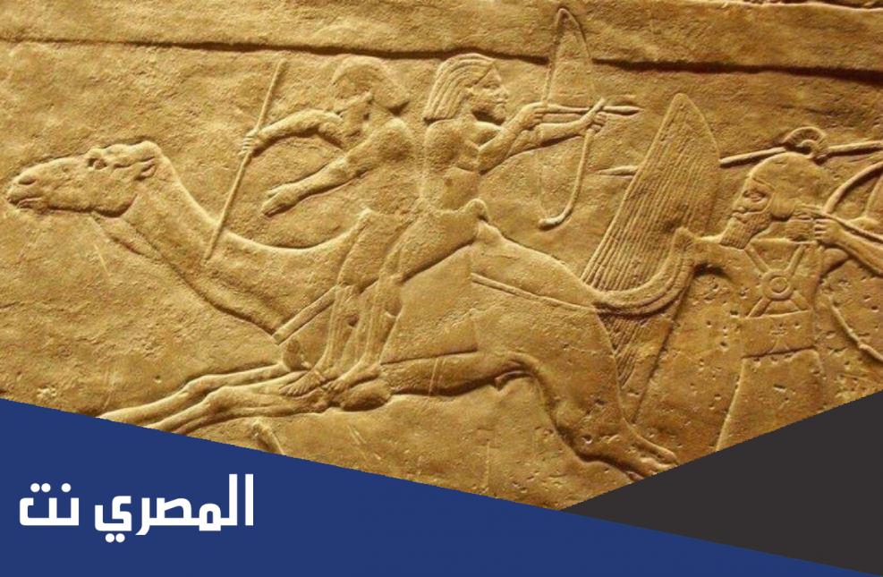 من هو قائد معركة قرقور
