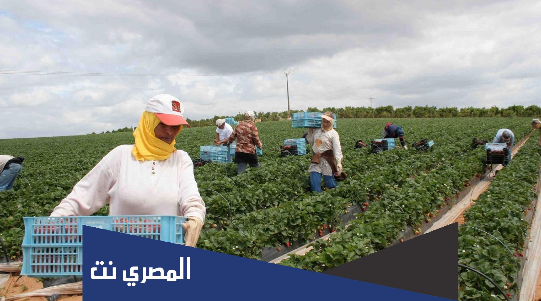 موضوع حول الفلاحة في المغرب بالفرنسية
