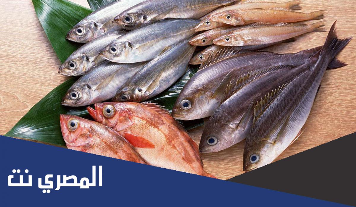 لماذا تختلف القشور باختلاف نوع السمكة