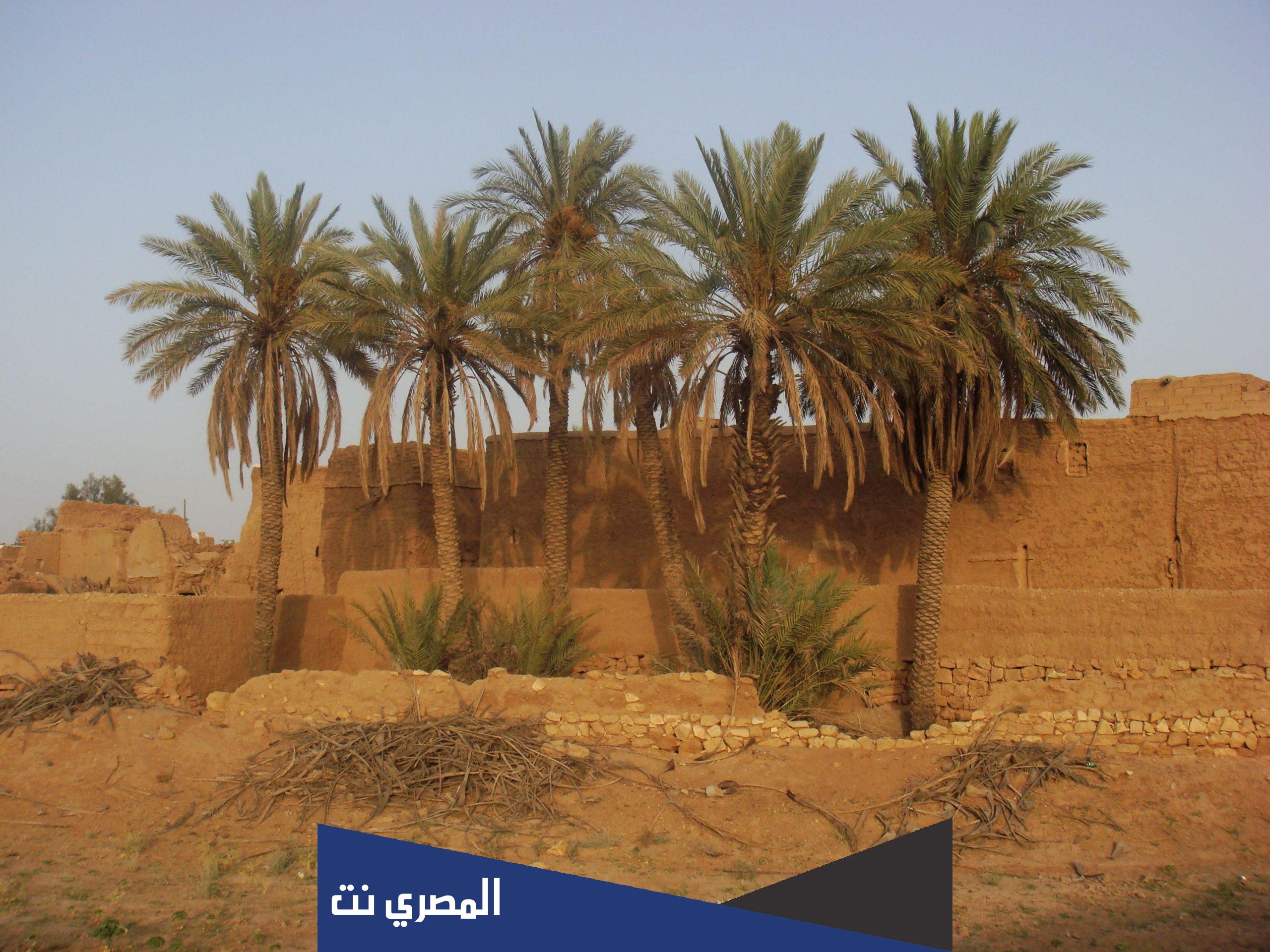 اين تقع المجمعه