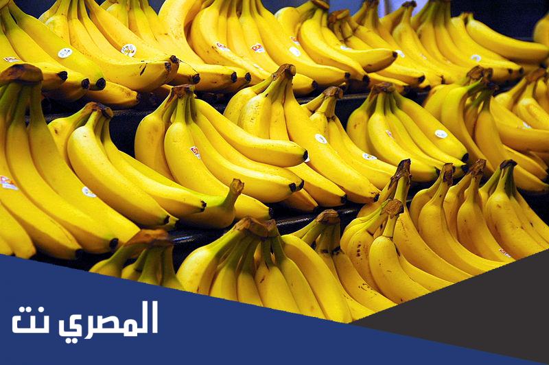 لماذا يسمى الموز قاتل ابيه