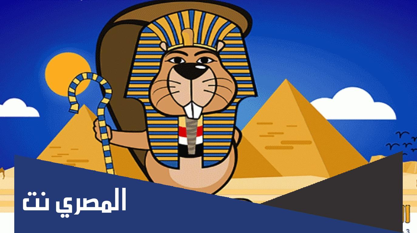 الاشتراك في مسابقة القندس الدولية ٢٠٢٢