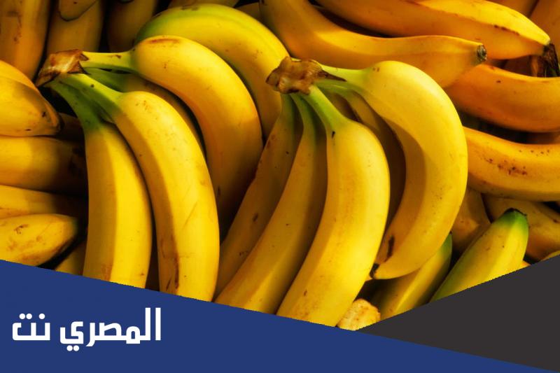 أفضل أنواع الموز في العالم