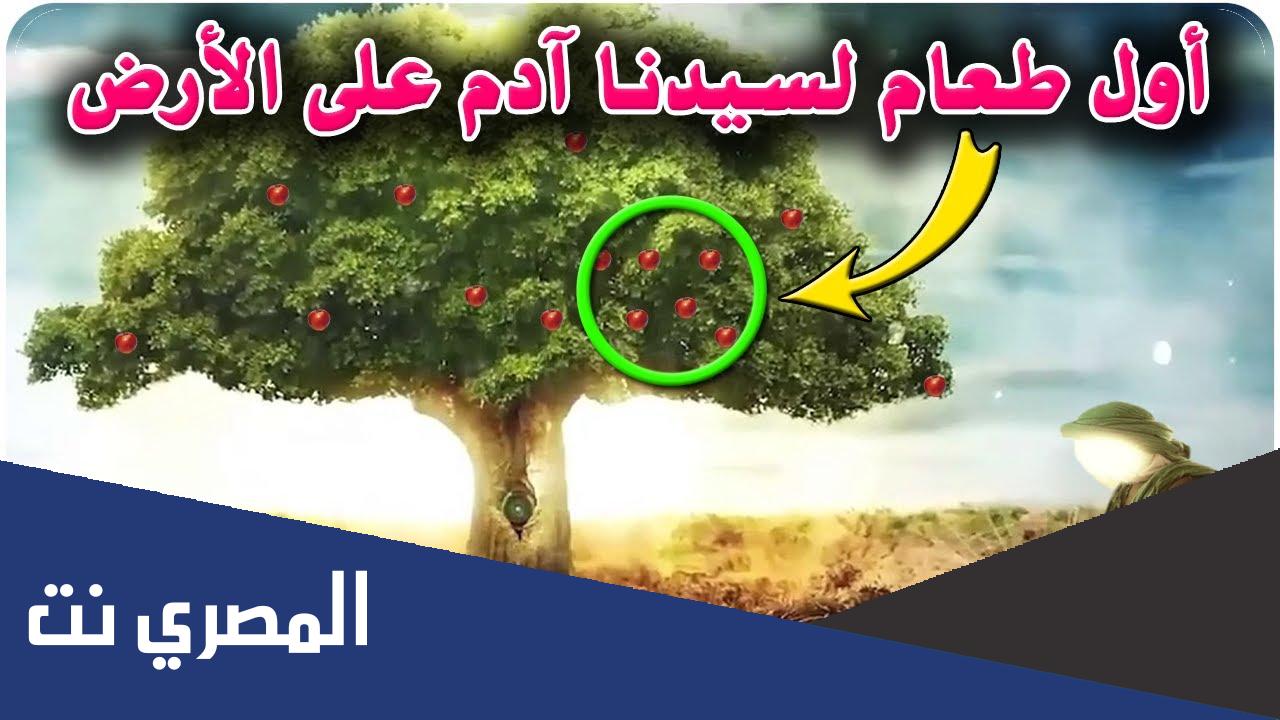 اول ما اكل ادم عندما هبط الى الارض