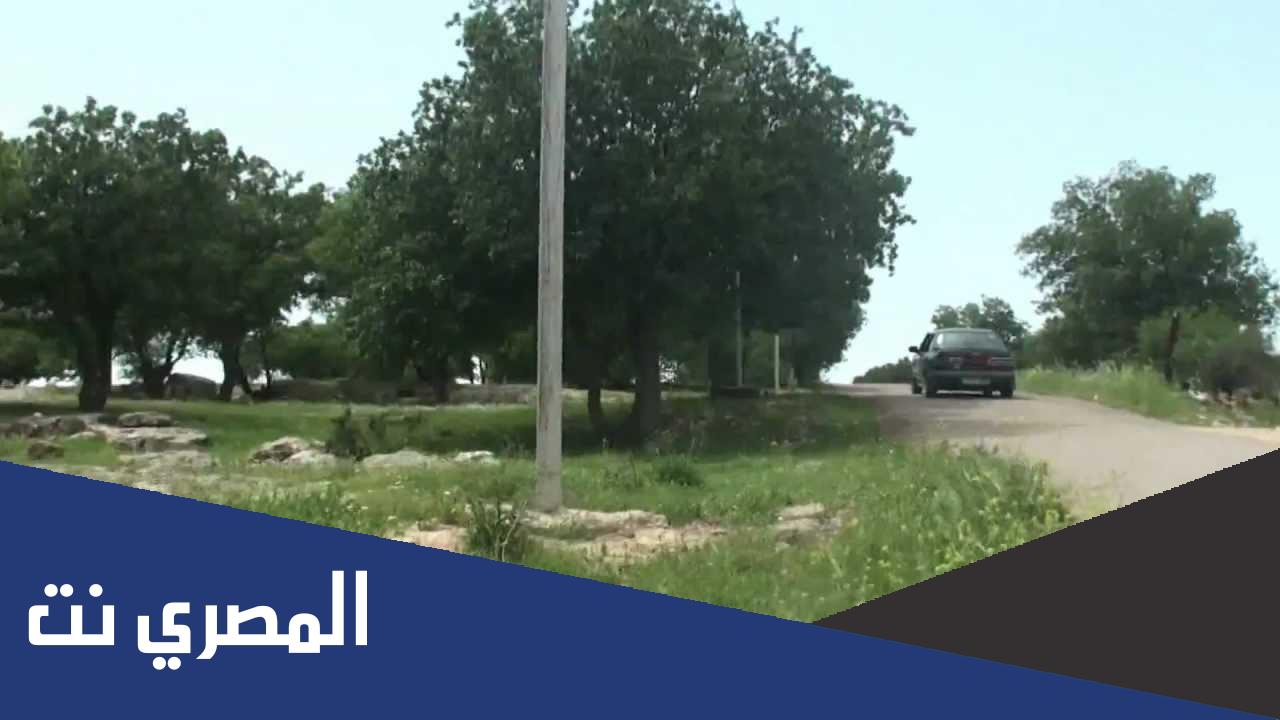 اين تقع قريه العشه