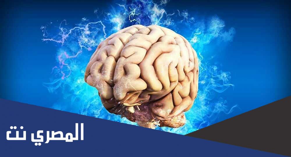 اين شق رونالدو