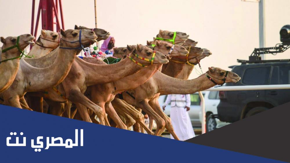 ما اسم البكره الحاصله على رمز ولي العهد ؟