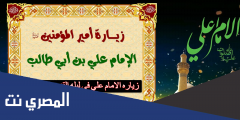 زياره الامام علي في ليله القدر عند الشيعه