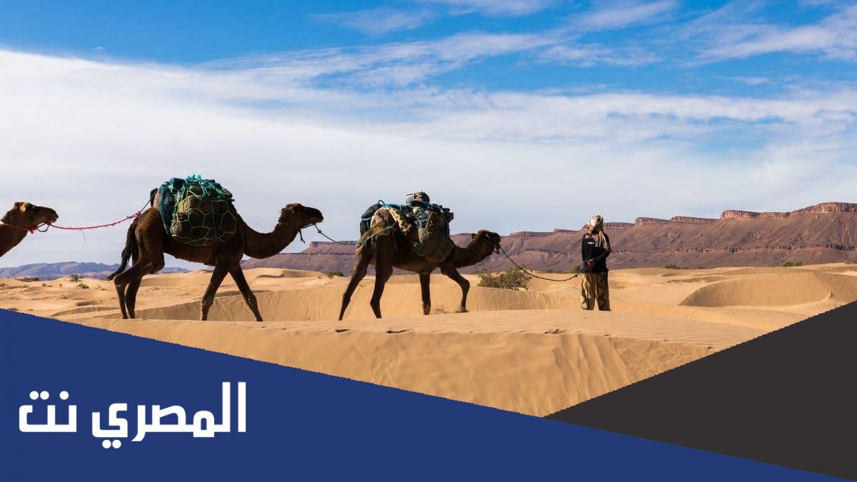 في اي عام كانت الهجرة الاولى الى الحبشة