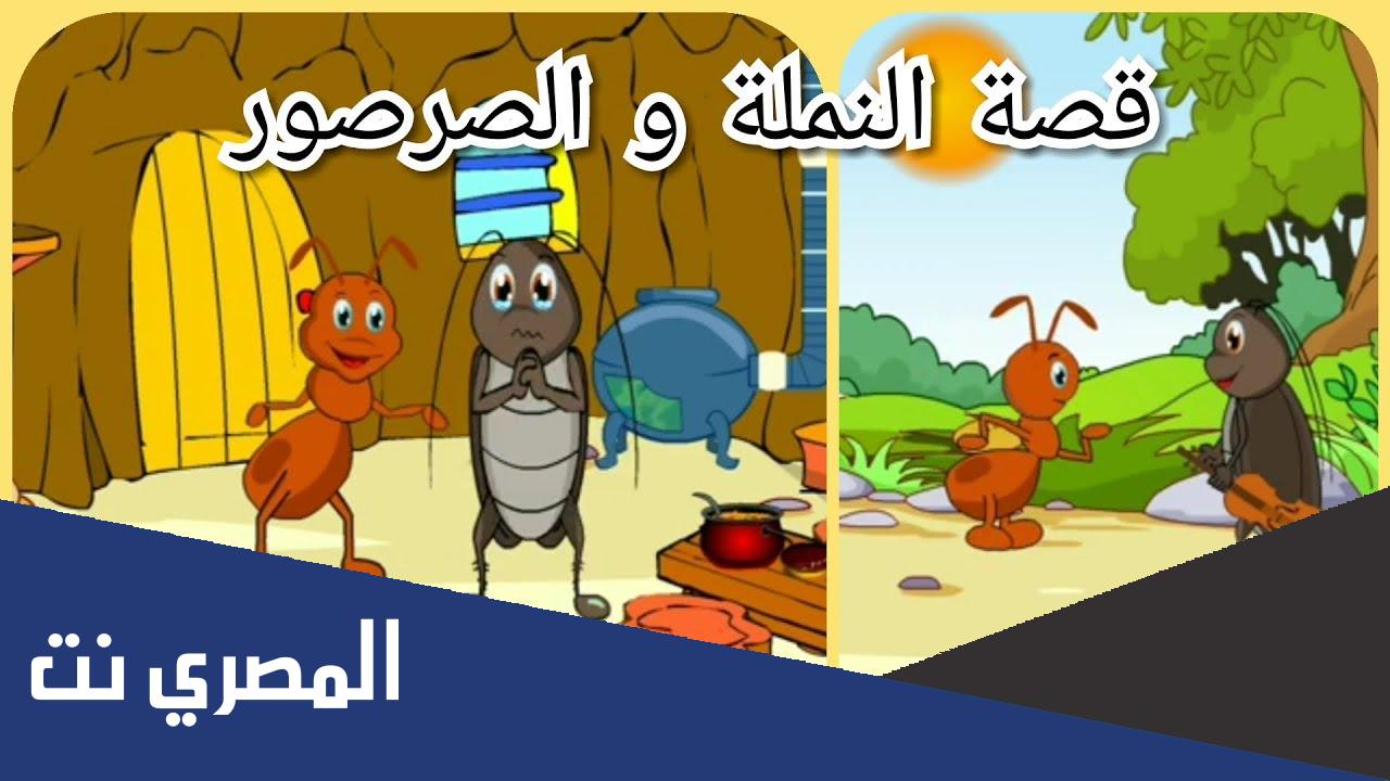 قصة النملة والصرصور مكتوبة