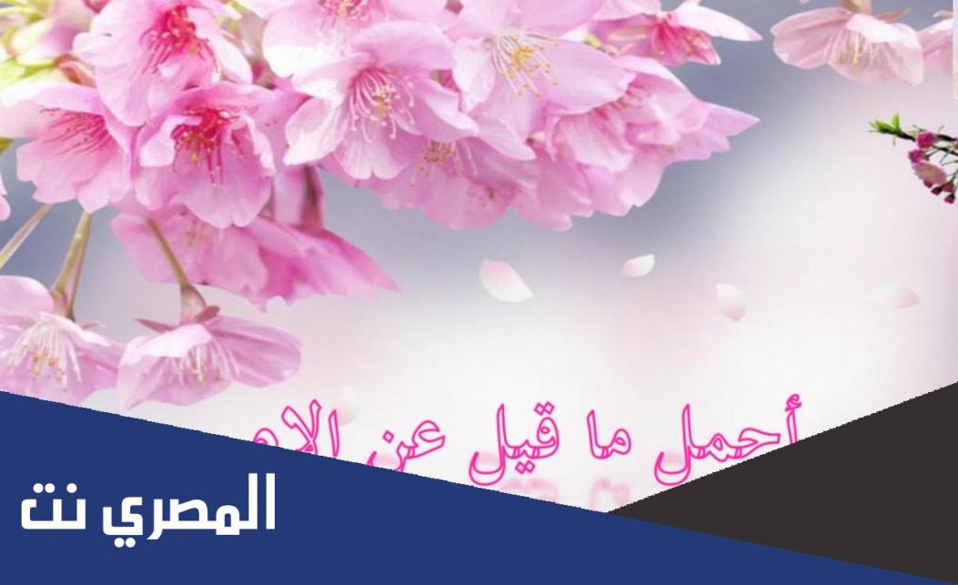 كلمات جميلة في حق الام