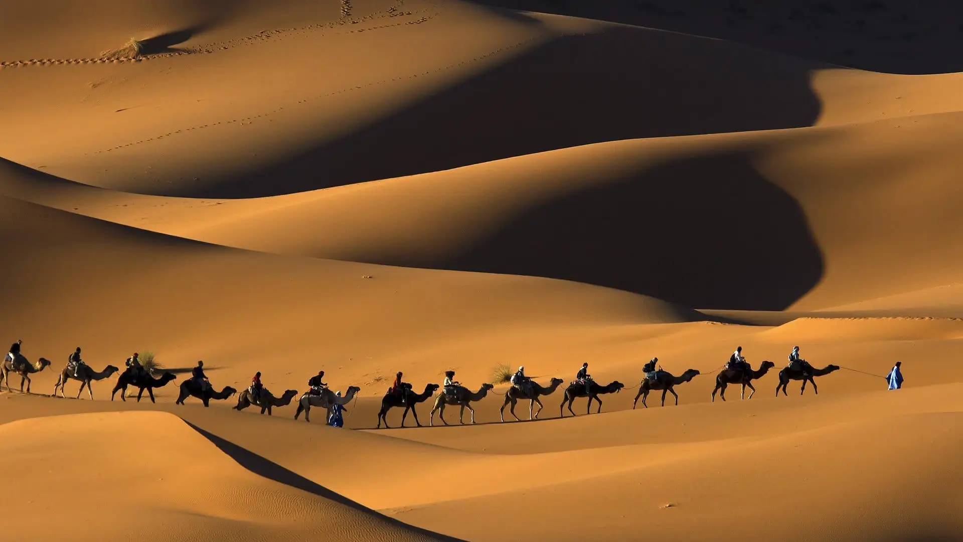 لماذا مدح الله المهاجرين والأنصار