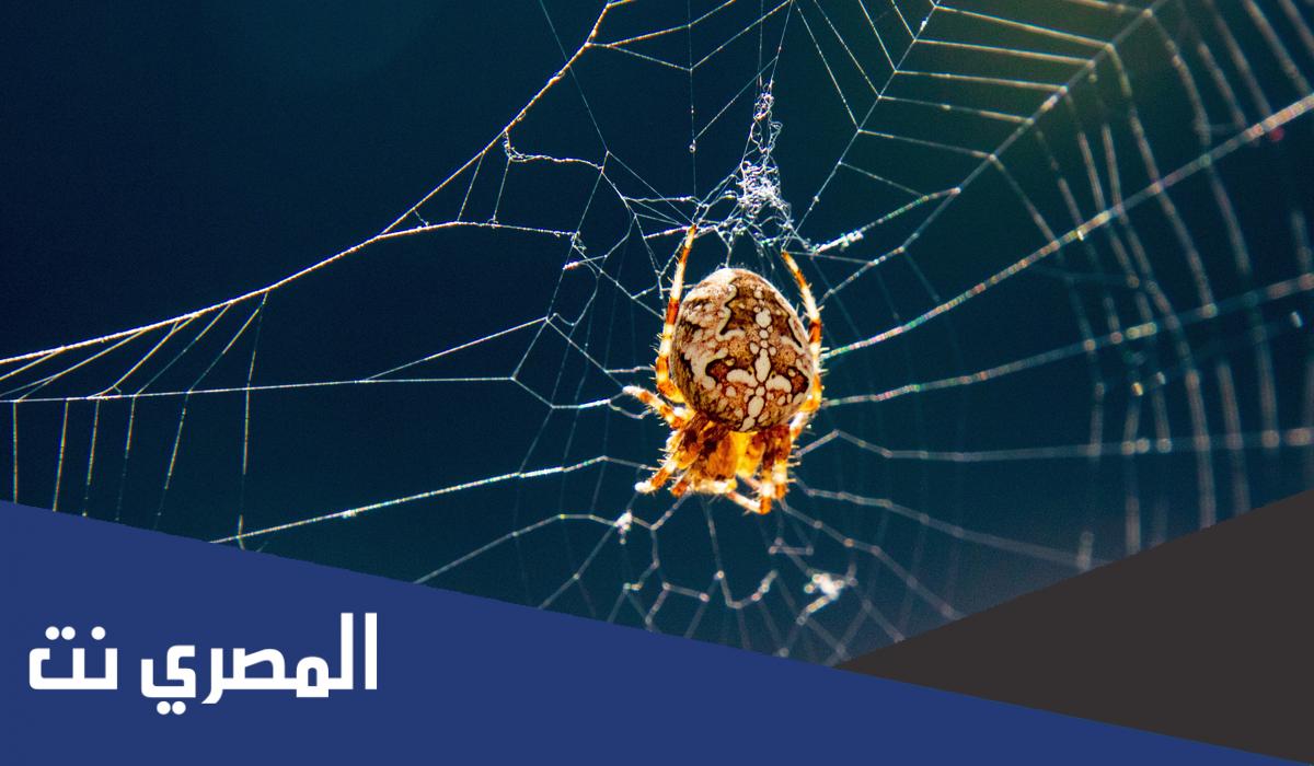 ما أضعف بيت ذكر في القرآن الكريم