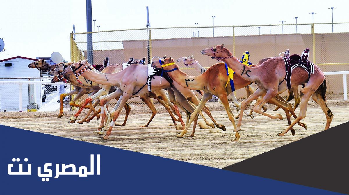 ما اسم البكرة الحاصلة على رمز ولي العهد سن الحقايق ؟ ماهو اسم مالكها ؟
