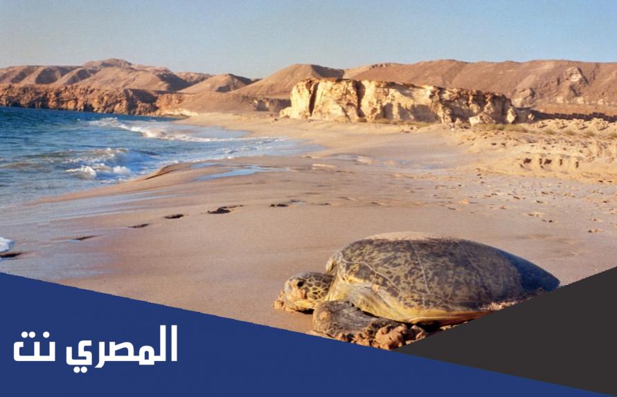 ما اسم المحميه راس الجنز