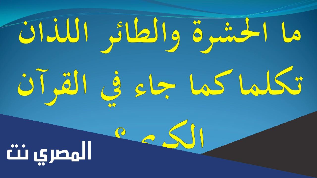 ما الحشرة والطير اللذان تكلما في القرآن الكريم
