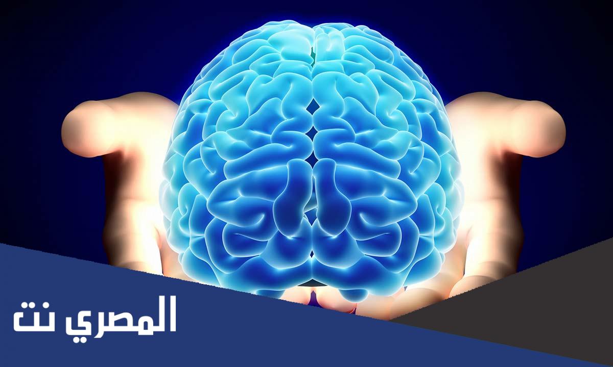 ما المنطقة الدماغية التي تنشط عند قول الكذب وارتكاب الأخطاء