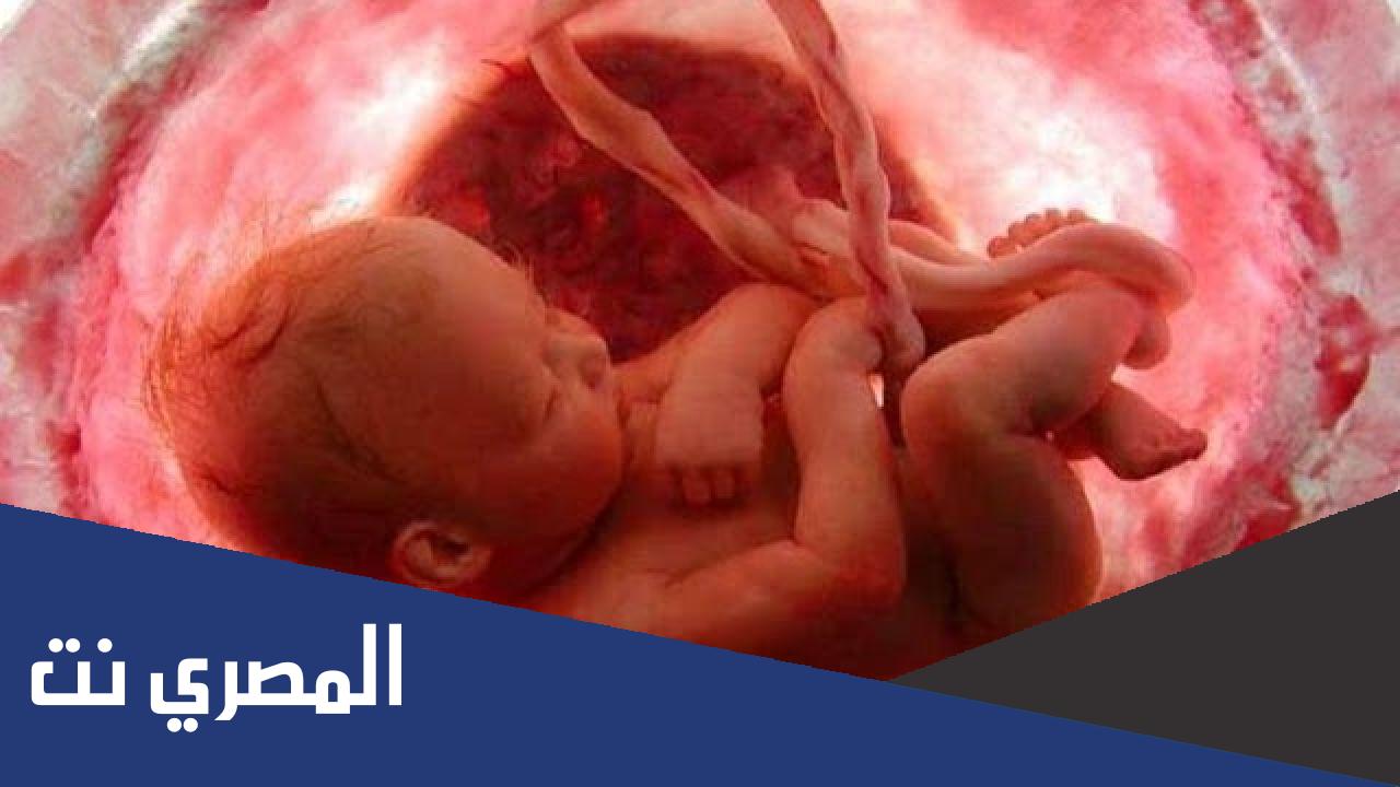 ما اول مرحله من خلق الانسان في بطن امه