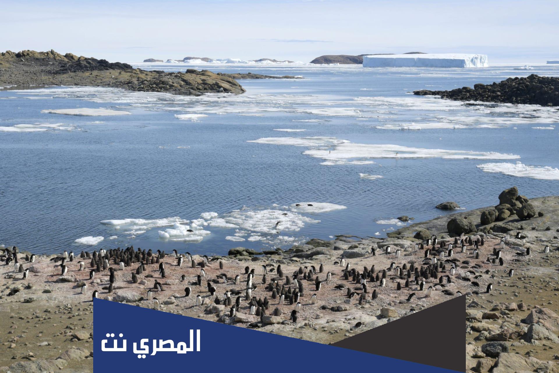 ما هو ابرد بحر على وجه الارض