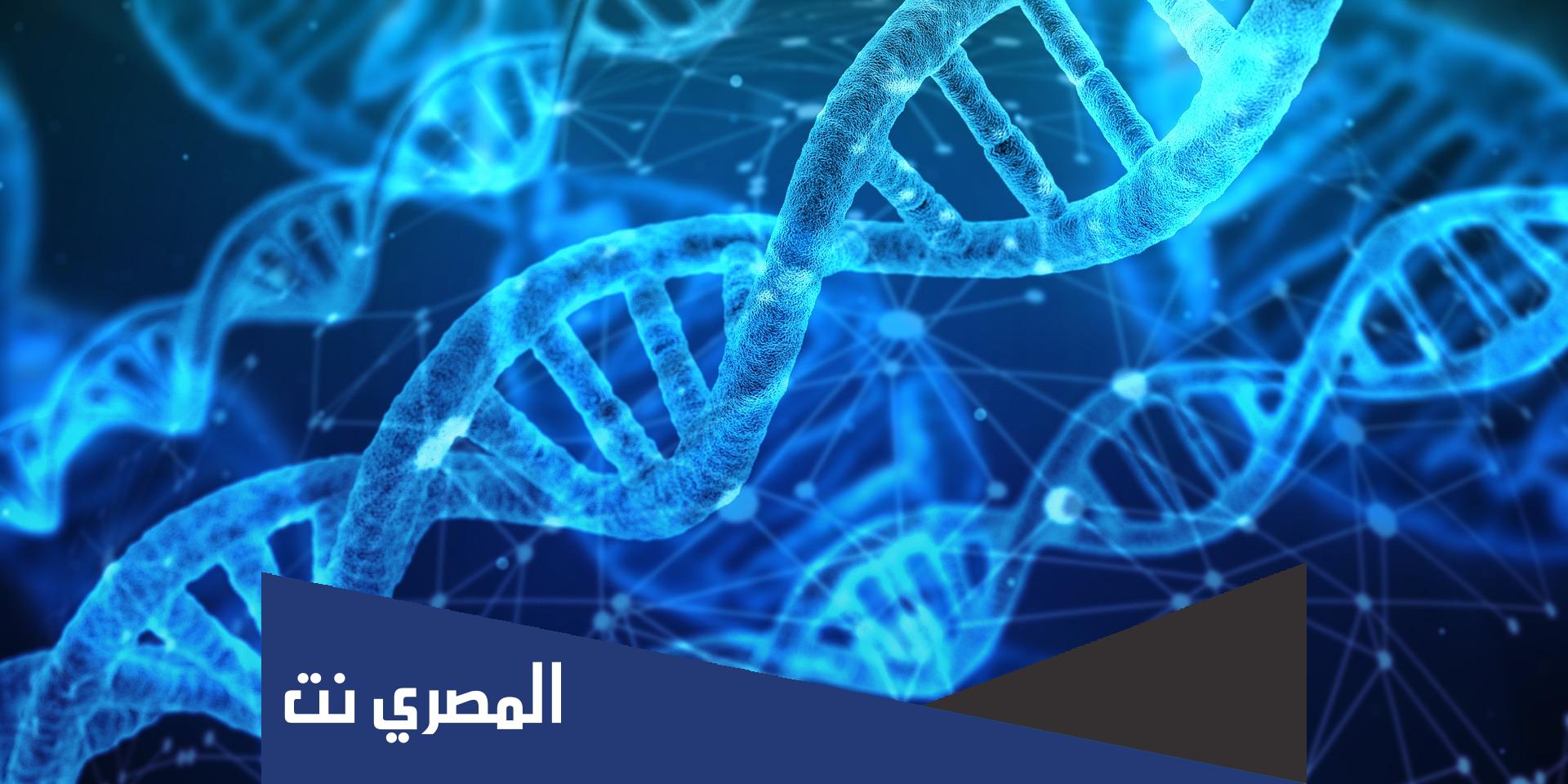 ما هو اختبار تفاعل البوليميراز المتسلسل