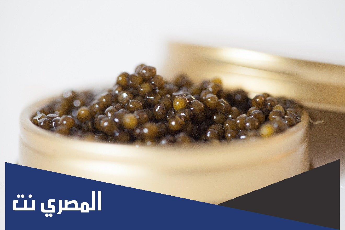ما هو الكافيار ومن اين يستخرج