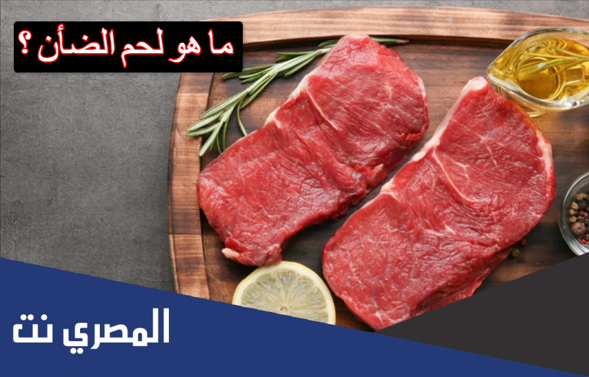 ما هو لحم الضأن ؟