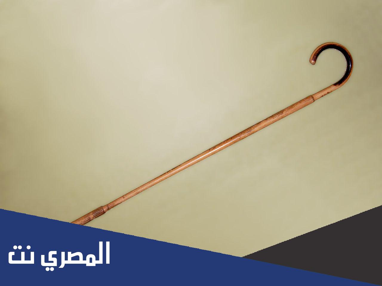 ما هو مثنى كلمة عصا
